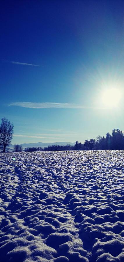 Powidoki Daire Grudza Dış mekan fotoğraf