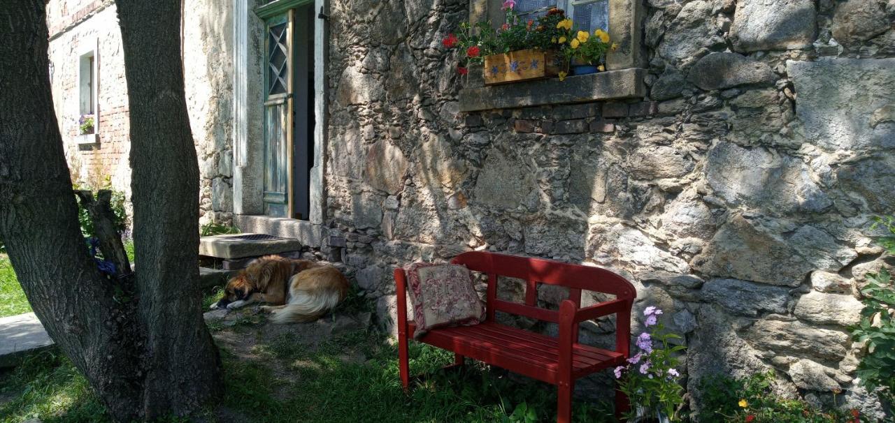 Powidoki Daire Grudza Dış mekan fotoğraf